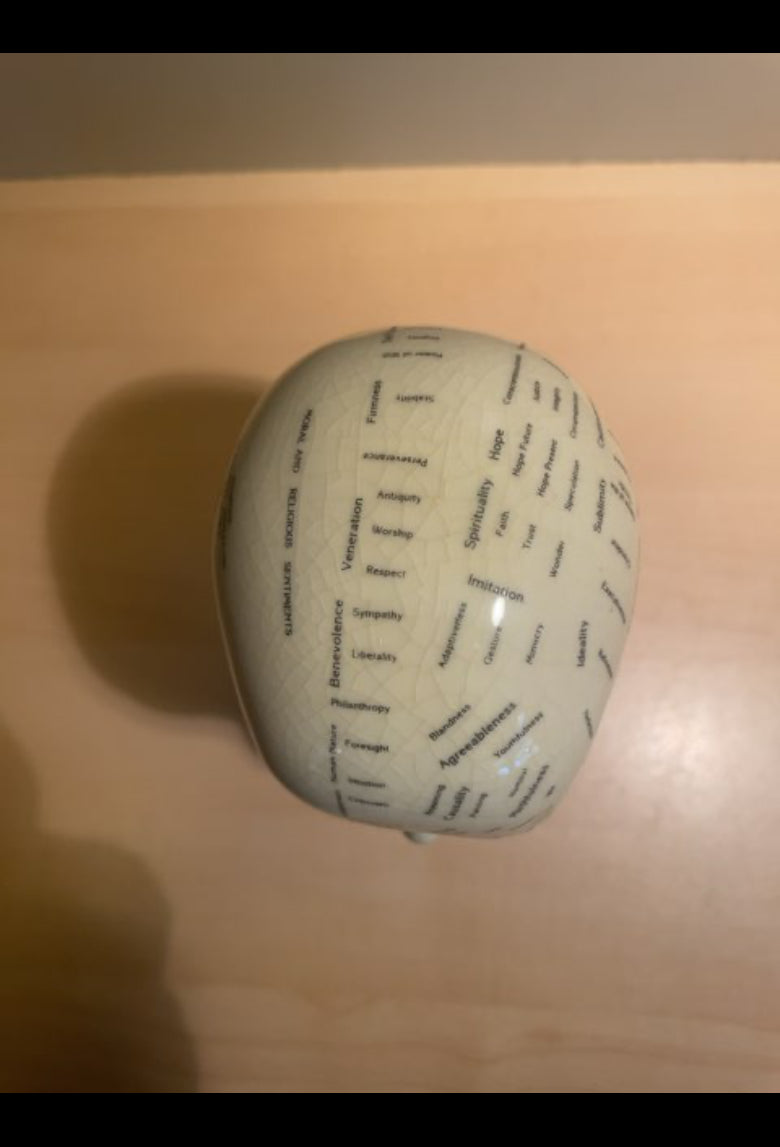 Phenology buste. By L.N. Fowler